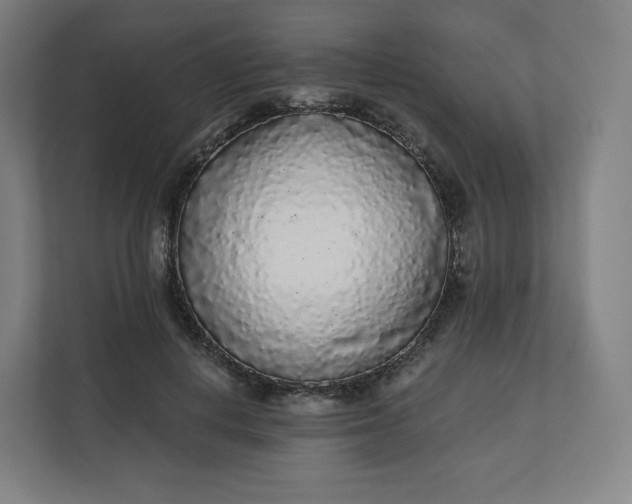 X0000112160648200908211435