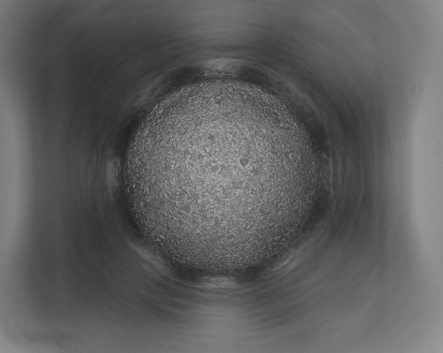 X0000112160649200908211435
