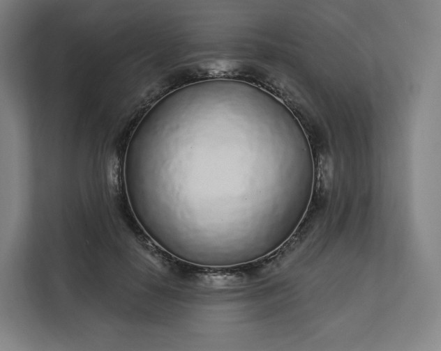 X0000112160650200908211435