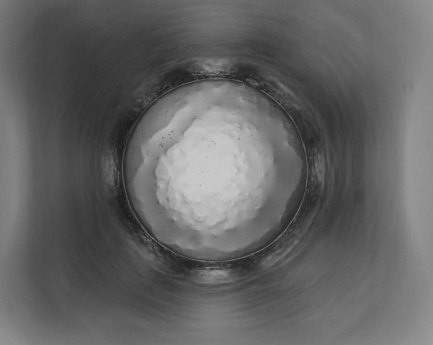 X0000112160651200908211435