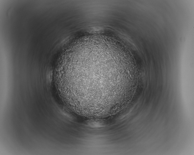X0000112160652200908211435