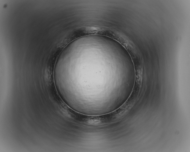 X0000112160653200908211435