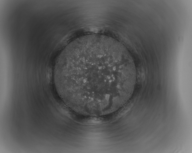 X0000112160656200908211435