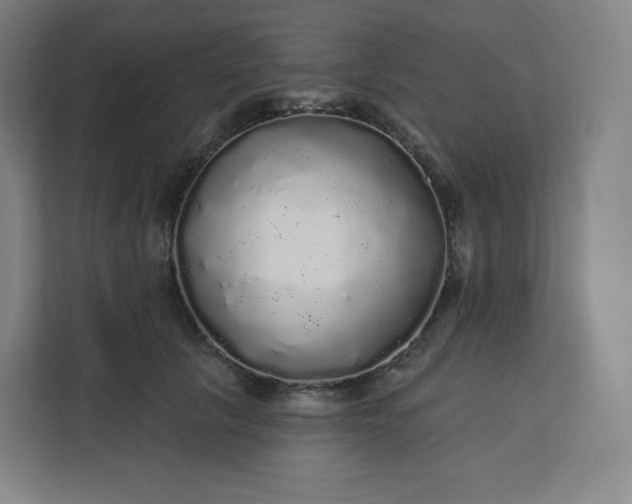 X0000112160657200908211435
