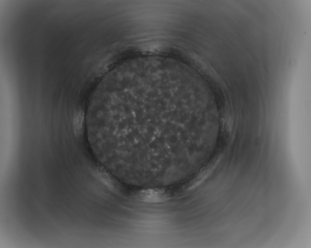 X0000112160660200908211435