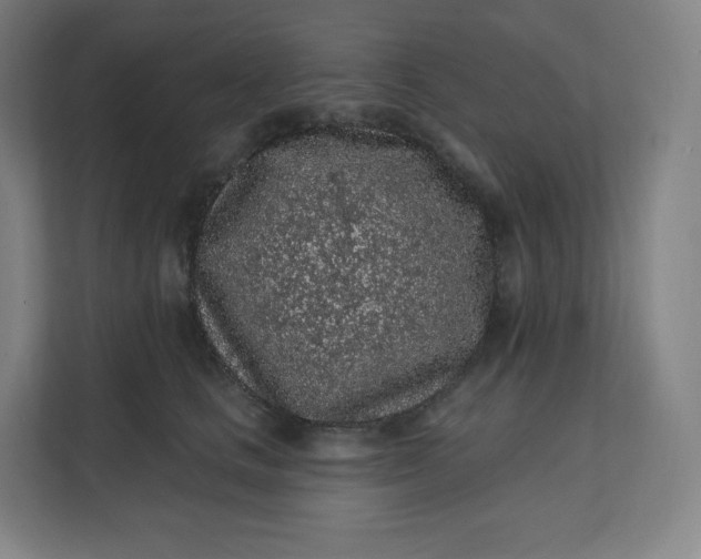 X0000112160661200908211435