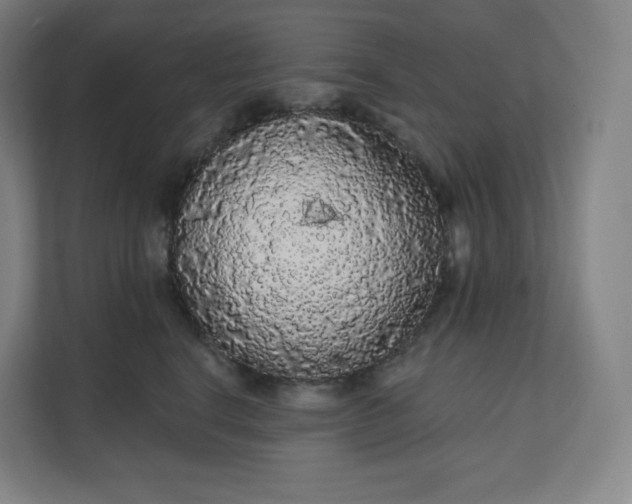 X0000112160664200908211435