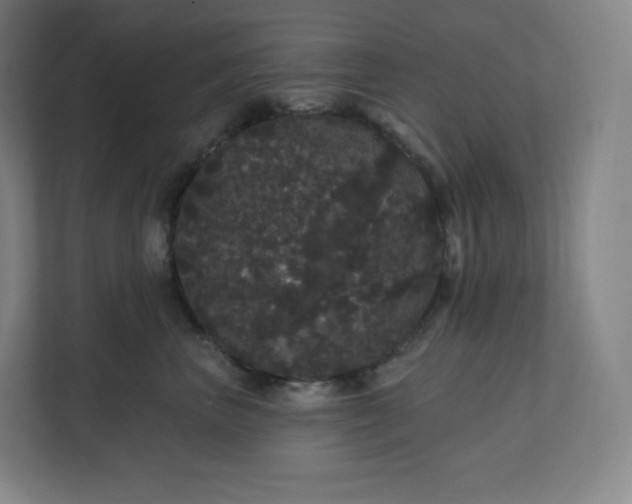 X0000112160667200908211435