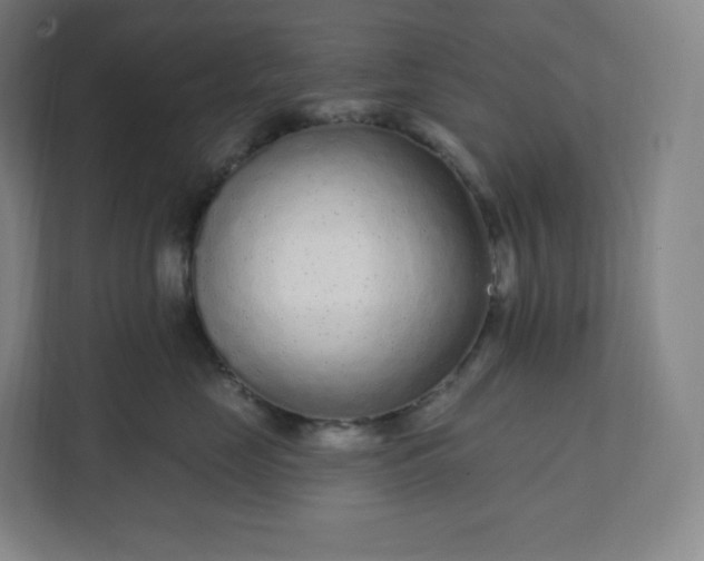 X0000112160669200908211435