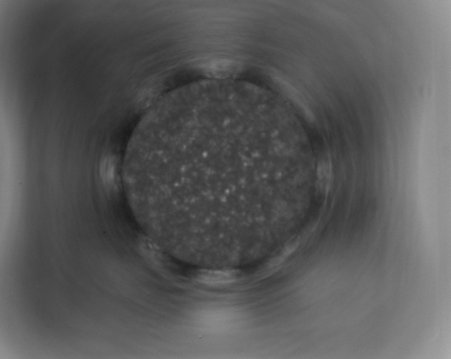 X0000112160671200908211435