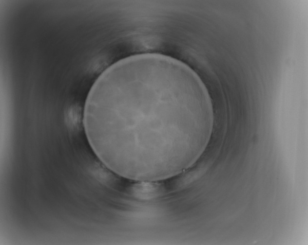X0000112160672200908211435
