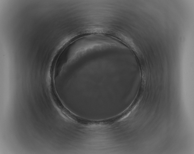 X0000112160674200908211435