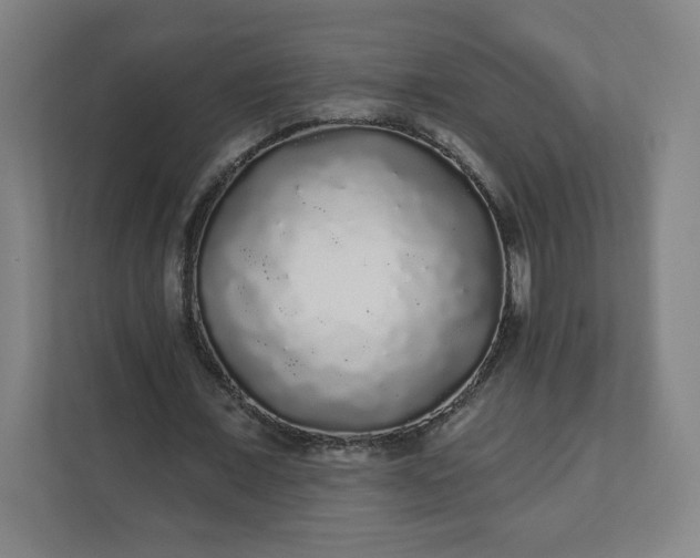 X0000112160675200908211435