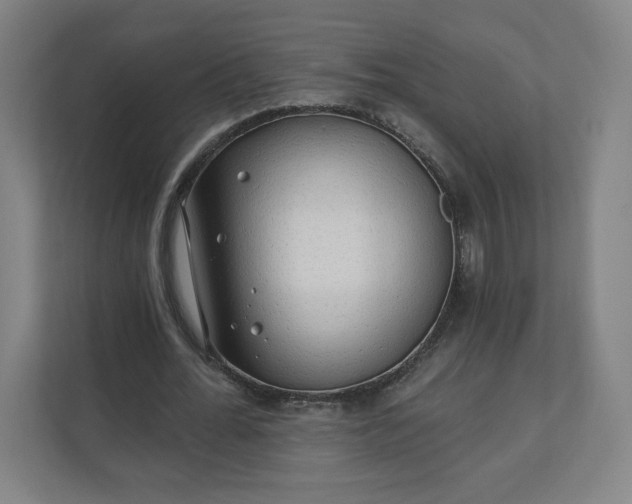 X0000112160676200908211435