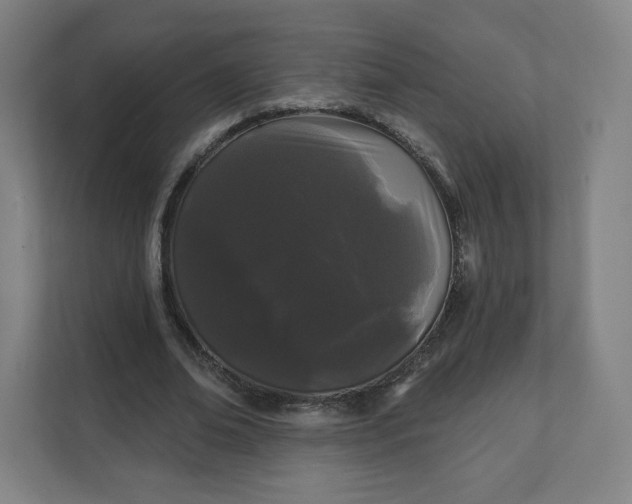 X0000112160678200908211435