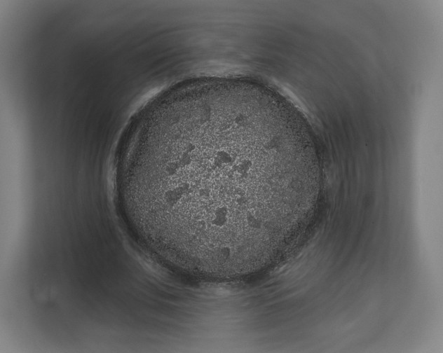 X0000112160679200908211435
