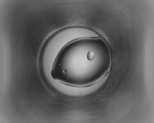 X0000112160680200908211435