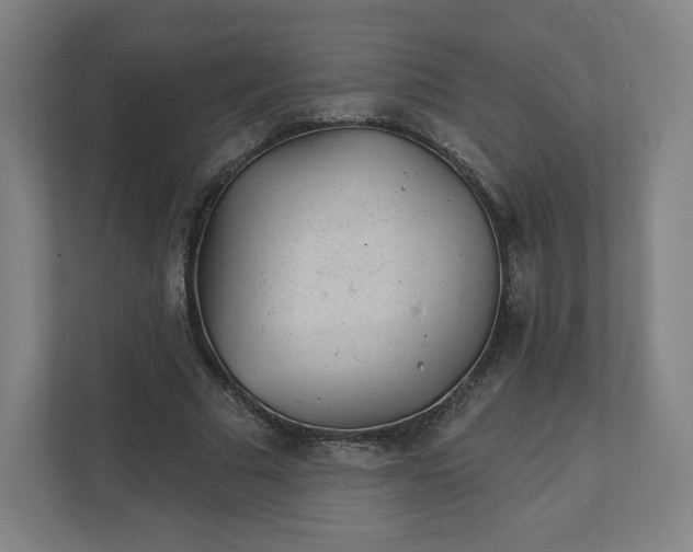 X0000112160681200908211435