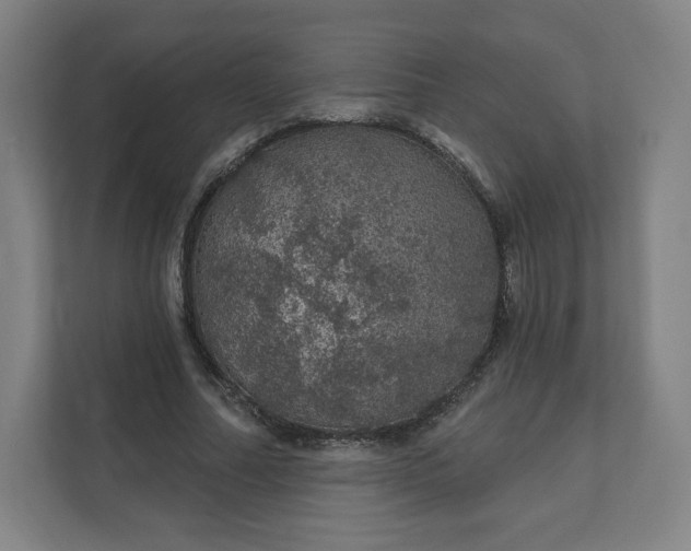 X0000112160682200908211435