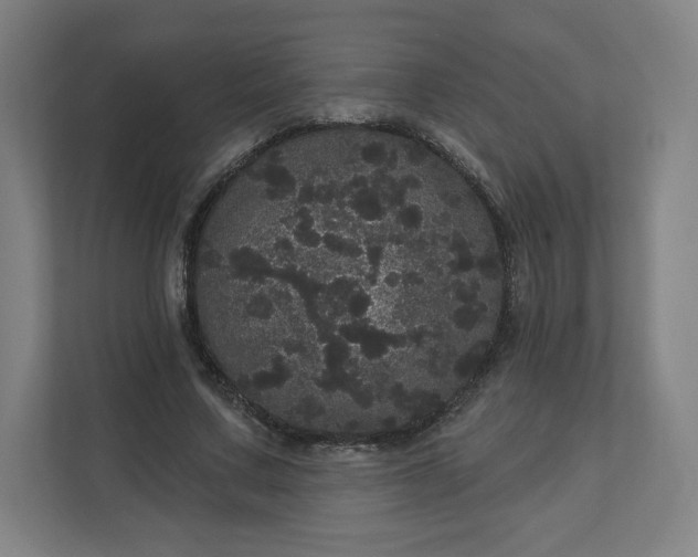 X0000112160683200908211435