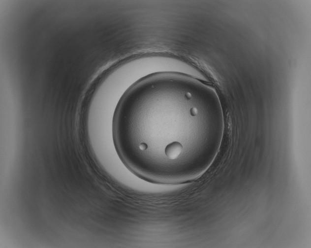 X0000112160684200908211435
