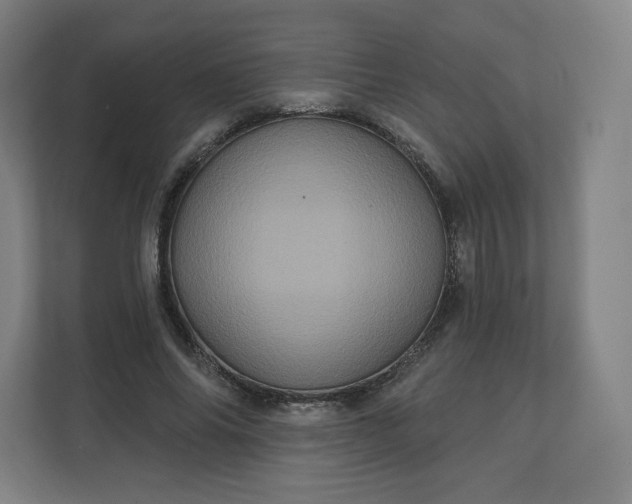 X0000112160686200908211434