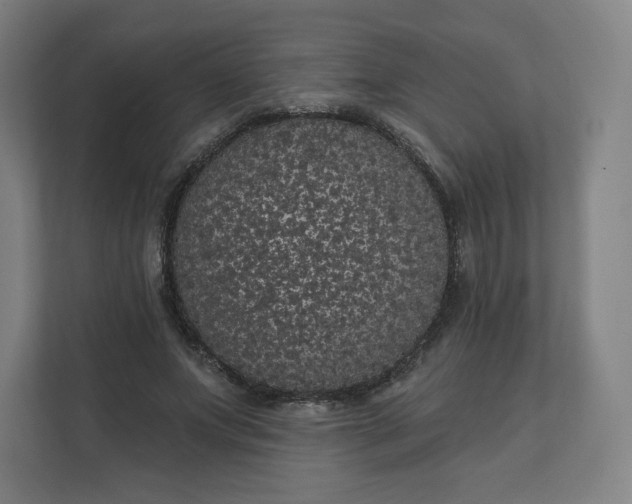 X0000112160687200908211434