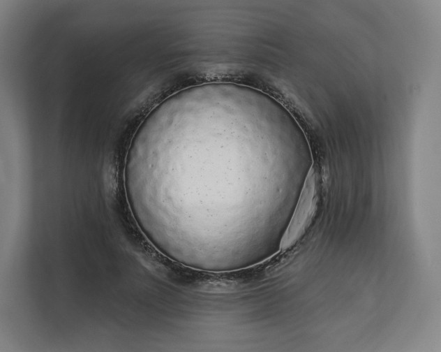 X0000112160691200908211434