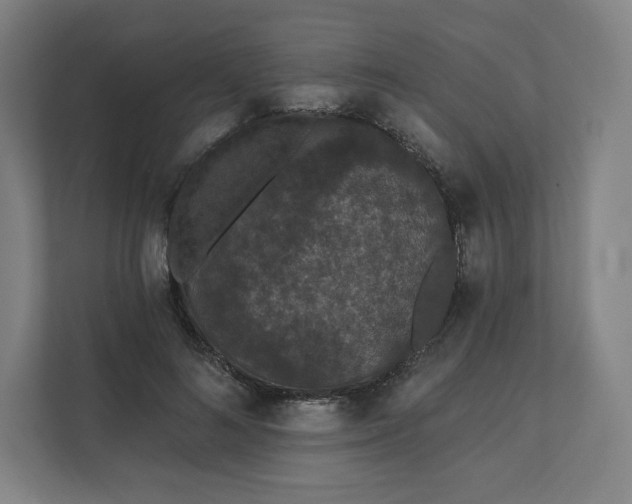 X0000112160692200908211434