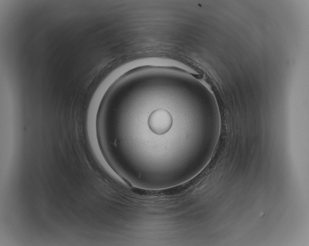 X0000112160693200908211434