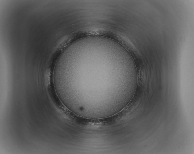 X0000112160694200908211434