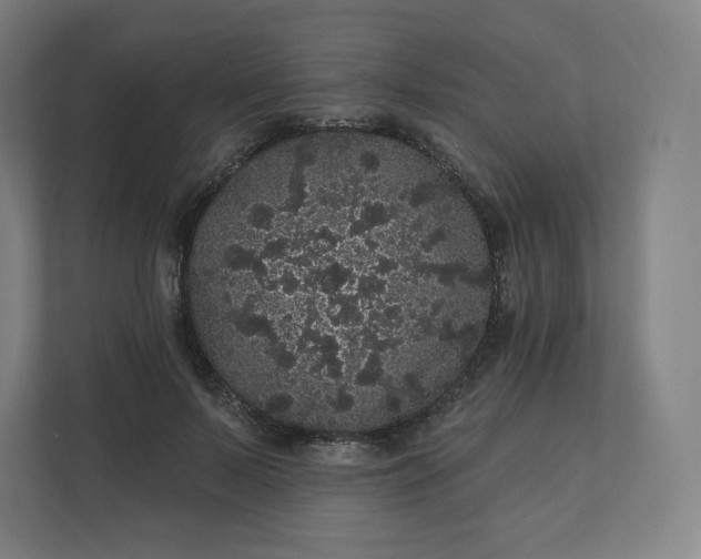 X0000112160695200908211434