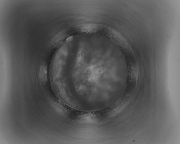 X0000112160696200908211434