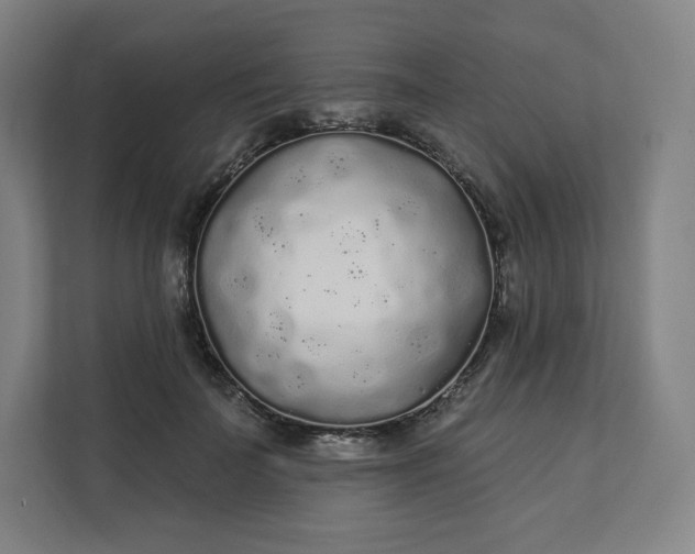 X0000112160699200908211434
