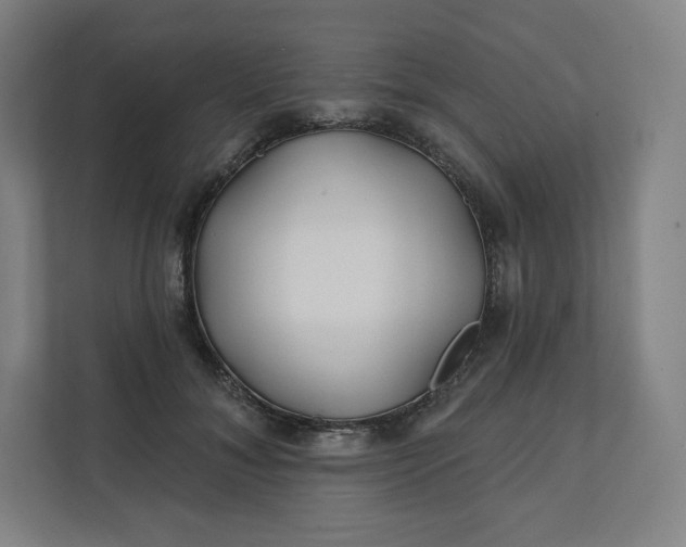 X0000112160700200908211434