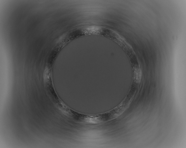 X0000112160701200908211434