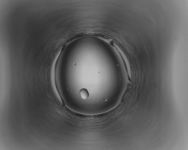 X0000112160704200908211434