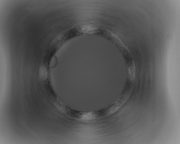X0000112160705200908211434