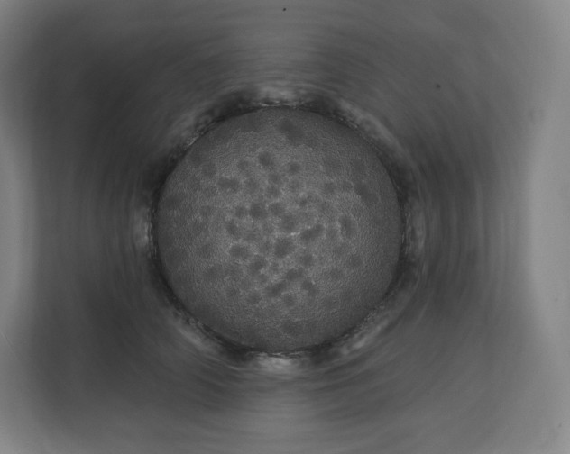 X0000112160706200908211434