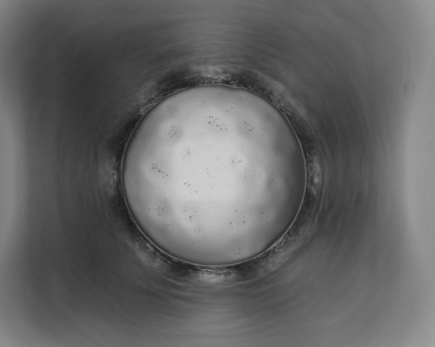 X0000112160707200908211434