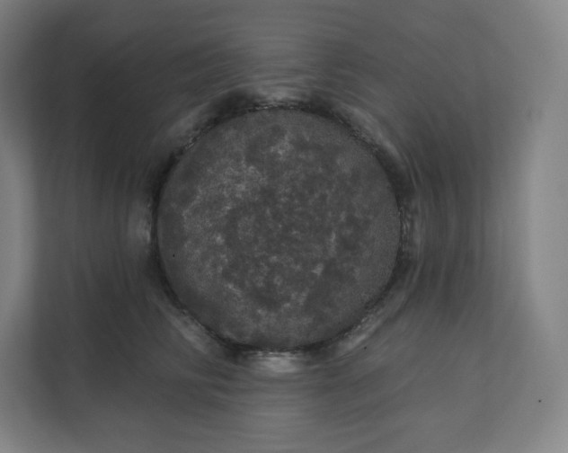 X0000112160710200908211434