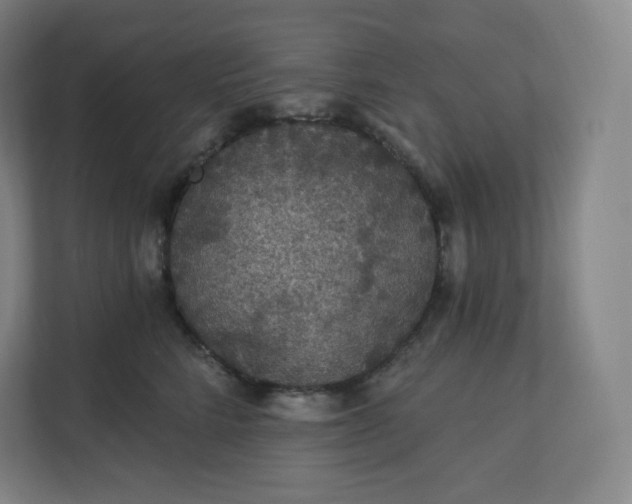 X0000112160712200908211434