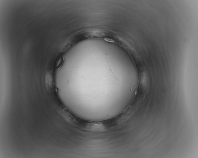 X0000112160715200908211434