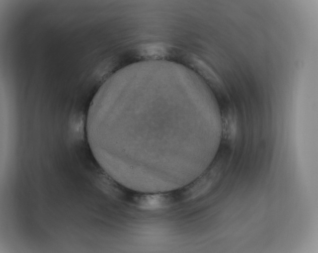X0000112160717200908211434