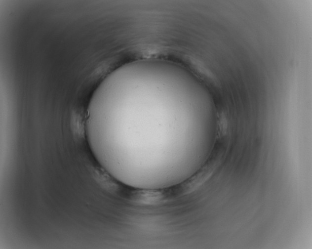 X0000112160719200908211434