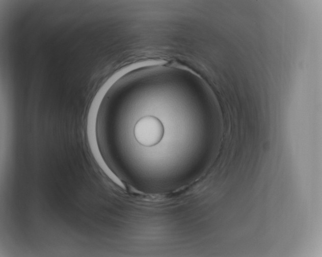 X0000112160720200908211434