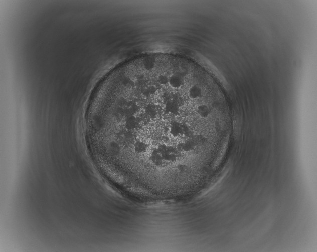 X0000112160721200908211433