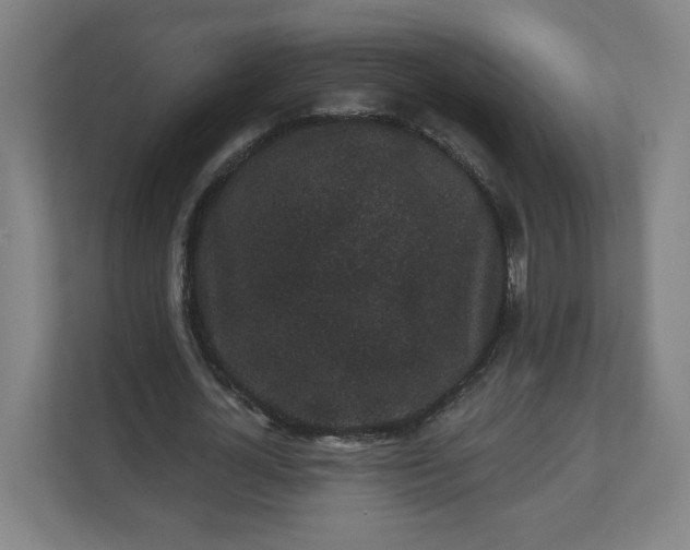 X0000112160724200908211433