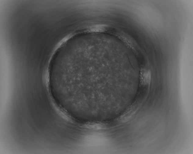 X0000112160726200908211433