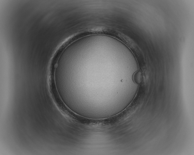 X0000112160728200908211434